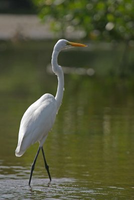 IMG_8261.jpg