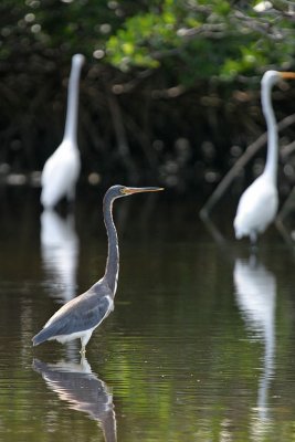 IMG_8264.jpg