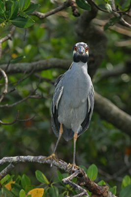 IMG_8283.jpg