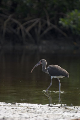 CRW_8373.jpg