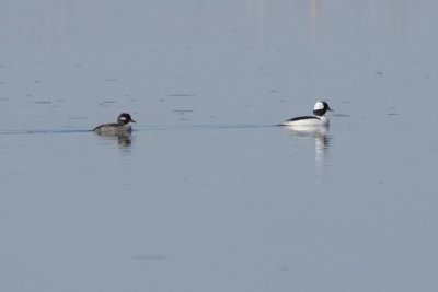 DSC_2509.jpg