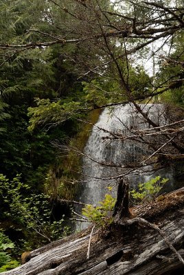 DSC_7851.jpg