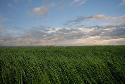DSC_8336.jpg