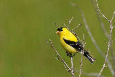 DSC_5181.jpg