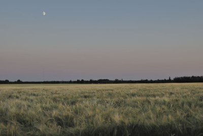 DSC_8656.jpg