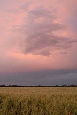 DSC_8698.jpg