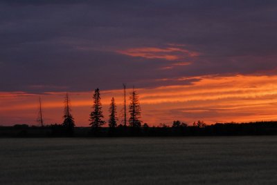 DSC_8719.jpg