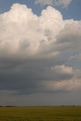 DSC_8724.jpg