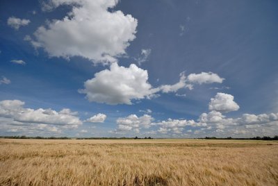 DSC_8762.jpg