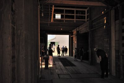 DSC_8817.jpg