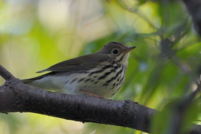 DSC_7147.jpg