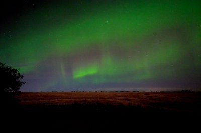 DSC_8046.jpg