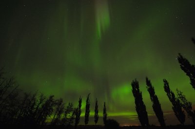 DSC_8438.jpg