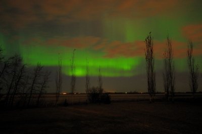 DSC_9390.jpg