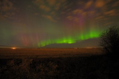DSC_9397.jpg