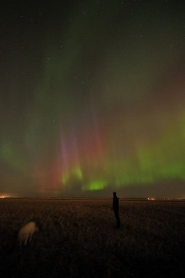 DSC_9409.jpg