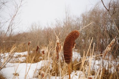 DSC_2553.jpg