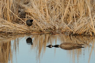 DSC_4843.jpg