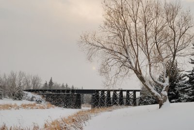 DSC_7759.jpg