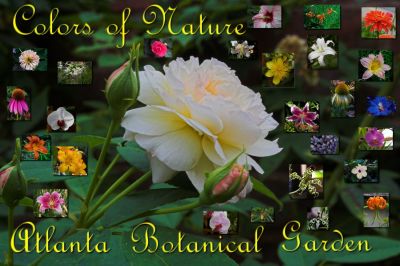 Atlanta Botanical Garden Poster