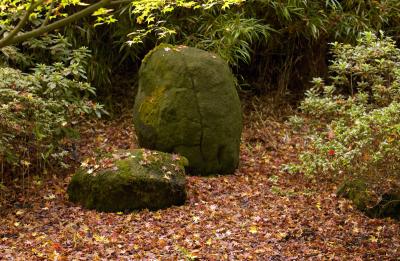 Contemplation Stones