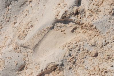 DSC_1218c A Child's Footprint...in the Pink Sand.jpg