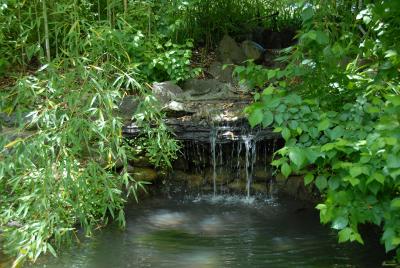 DSC_1641c Waterfall 1.jpg