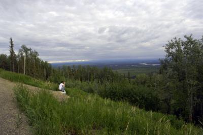 On the Road to Denali Park