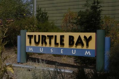 Turtle Bay Museum