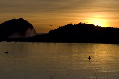 D2x200801160016.jpg
