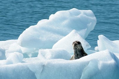 IMG_4309.jpg