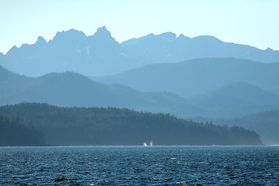 IMG_4326.jpg