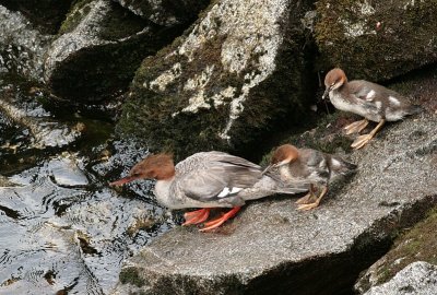 IMG_4947.jpg