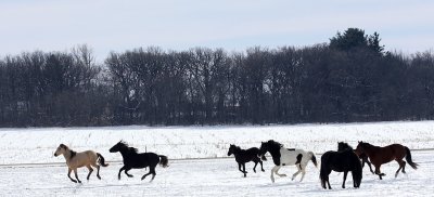 IMG_1107.jpg
