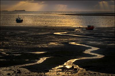 Farne-Island-Dawn.jpg