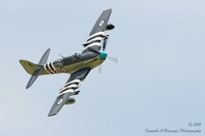 fairey_firefly