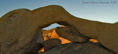 Joshua Tree 001.jpg