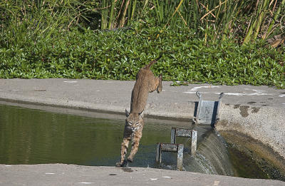 DSC_8696.jpg