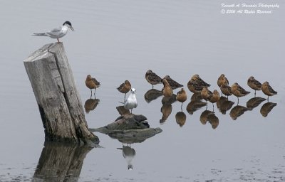 DSC_2599.jpg