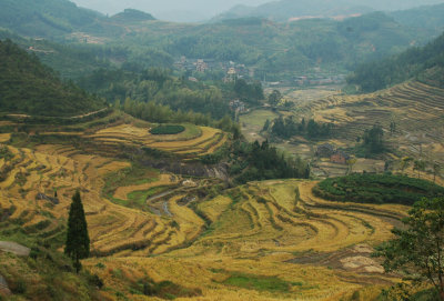 Valley near Shouning Zhejiang