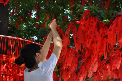 Tree of Wishes Lotus Hill Guangdong
