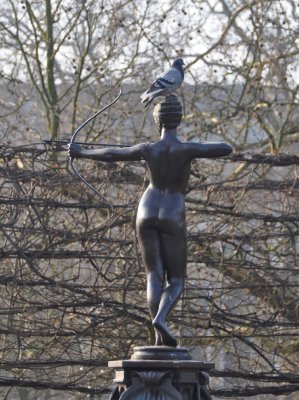 Diana and the Pigeon