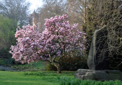The Purple of Spring