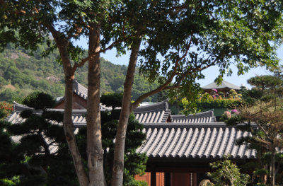 Chi Lin nunnery Hong Kong