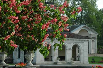 Italian Gardens in April