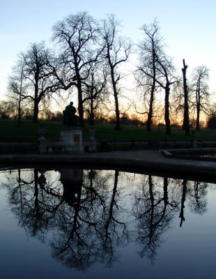 Winter reflections