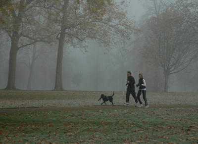 Joggers in the mist