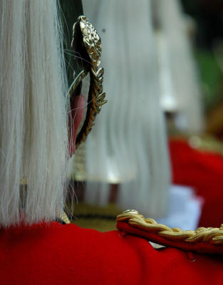 Tradition in close-up