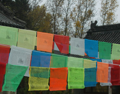Prayer flags in abundance