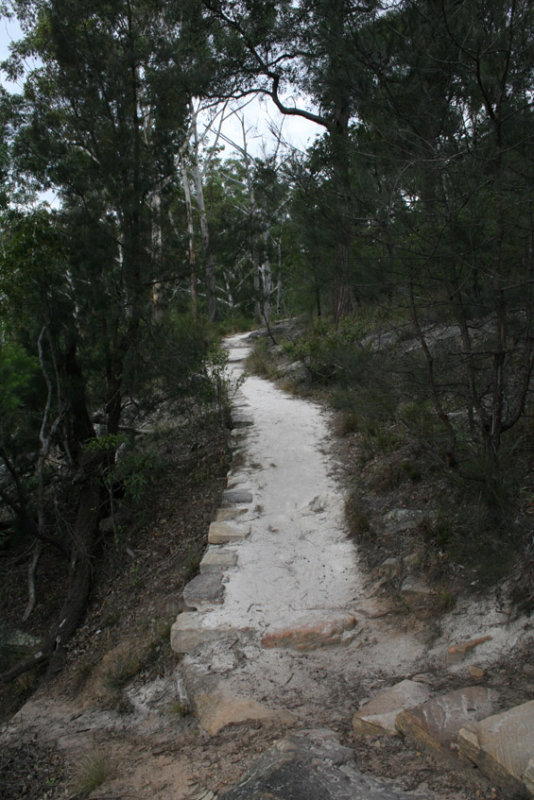 Lake Bush track..